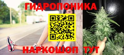 стаф Бугуруслан